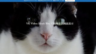 動画を全画面で表示するやり方 (VK Video Block Pro)